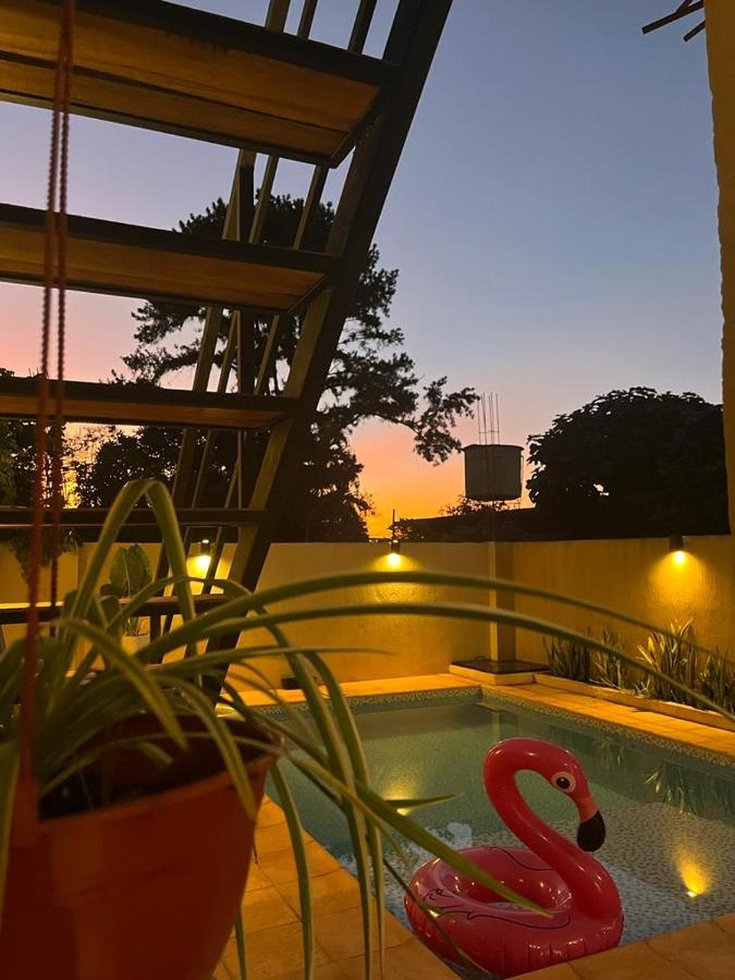 Colibri Hostel Пуэрто-Игуасу Экстерьер фото
